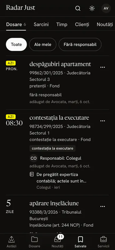 Pagina unui grup partajat: filele Dosare, Sarcini, Timp, Clienți și Noutăți, apoi dosarele grupului, fiecare cu responsabilul și cine l-a adăugat.