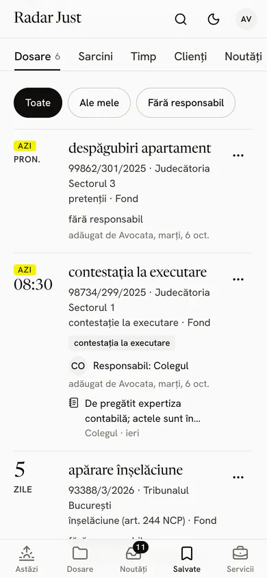 Pagina unui grup partajat: filele Dosare, Sarcini, Timp, Clienți și Noutăți, apoi dosarele grupului, fiecare cu responsabilul și cine l-a adăugat.